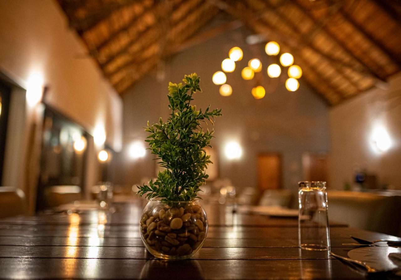 Elephant Plains Game Lodge Riserva di Sabi Sand Esterno foto