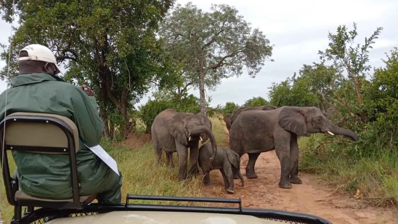 Elephant Plains Game Lodge Riserva di Sabi Sand Esterno foto