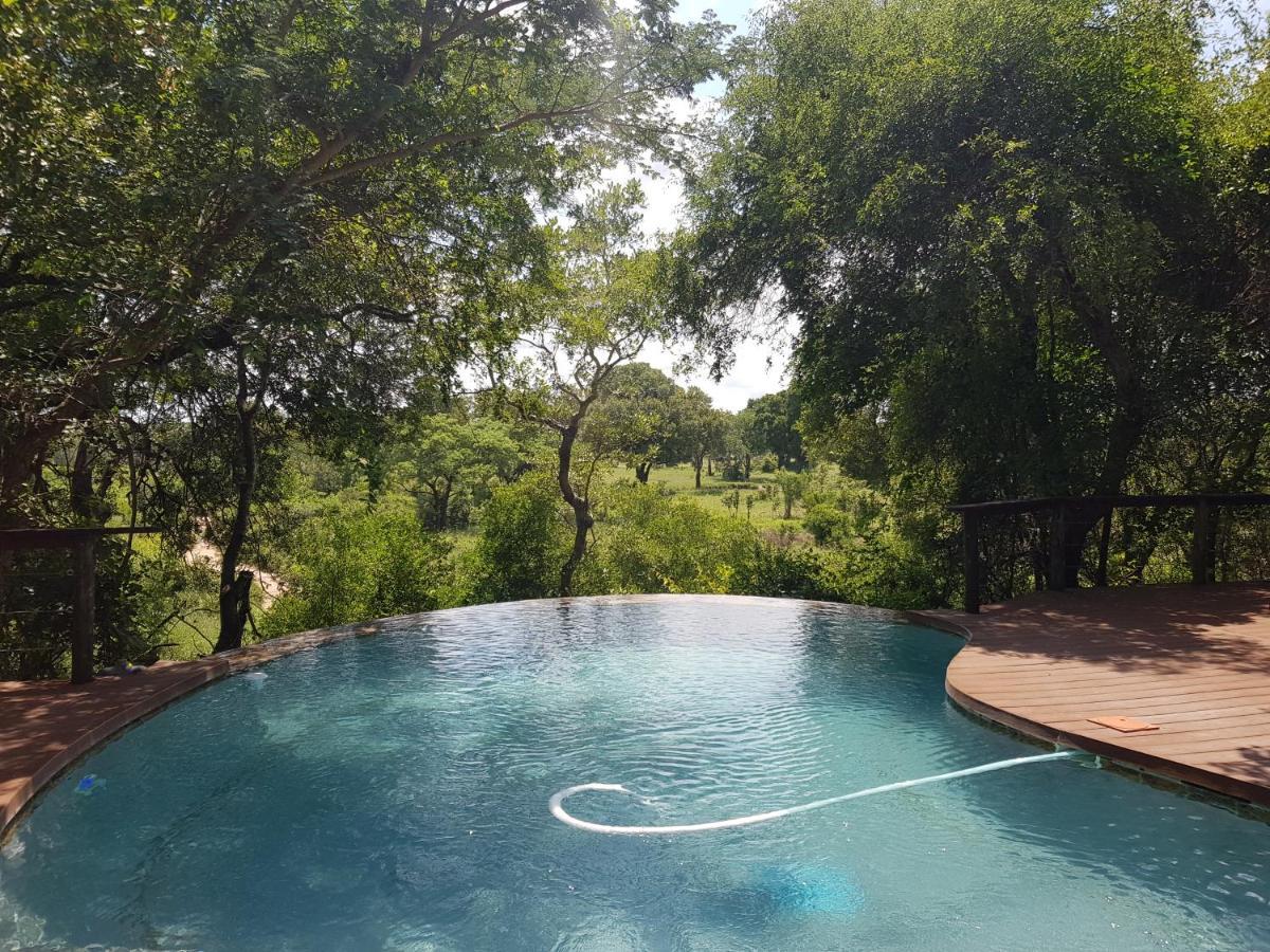 Elephant Plains Game Lodge Riserva di Sabi Sand Esterno foto