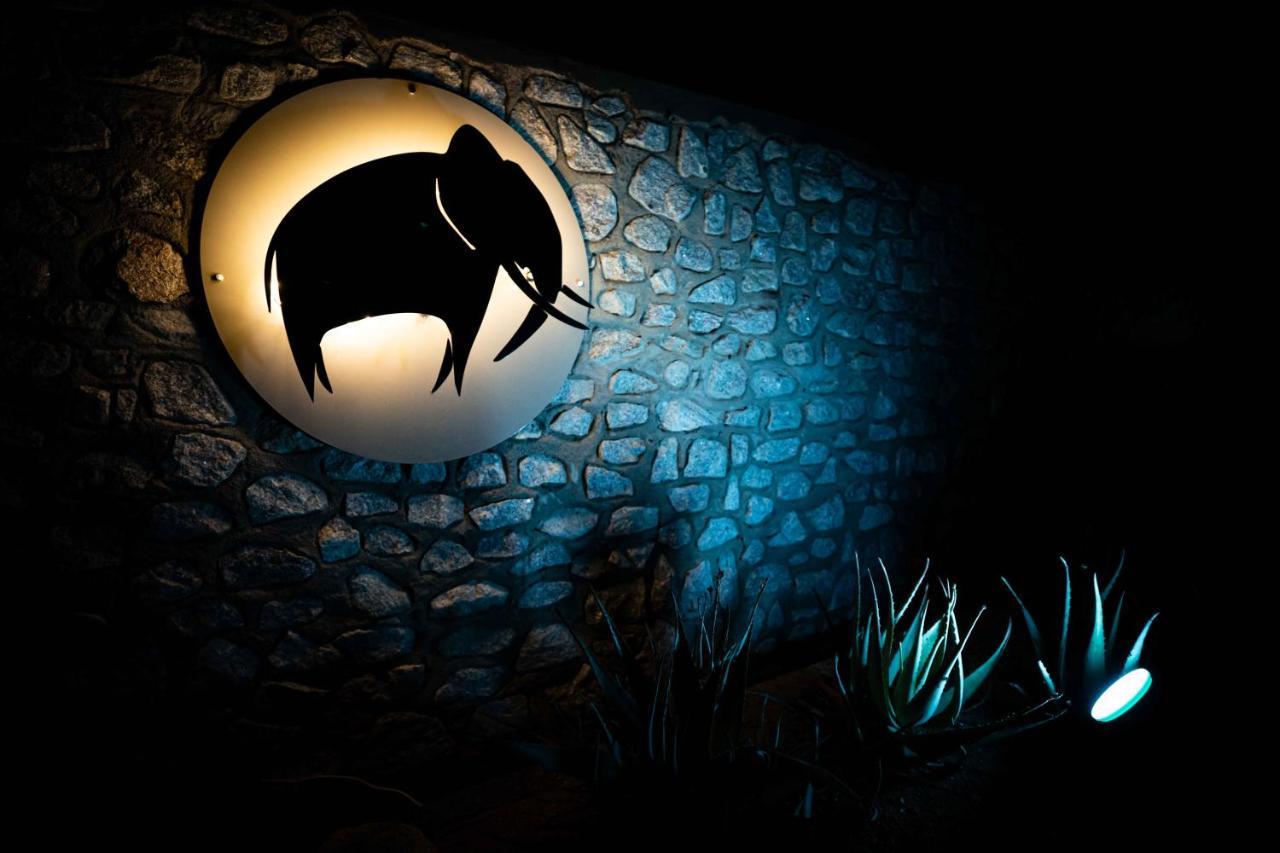 Elephant Plains Game Lodge Riserva di Sabi Sand Esterno foto