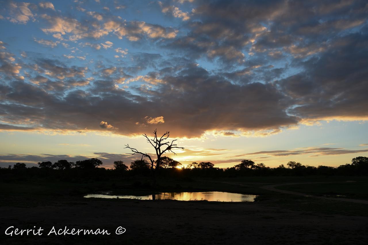 Elephant Plains Game Lodge Riserva di Sabi Sand Esterno foto